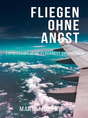 Fliegen ohne Angst, Erfolgreich seine Flugangst überwinden - ebook